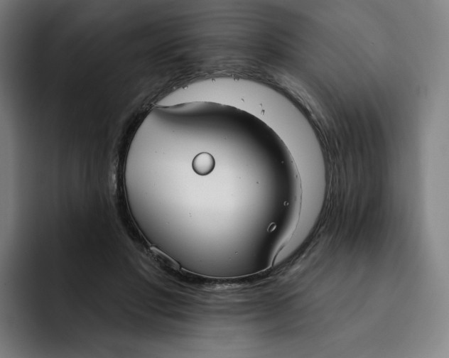 X0000091890501200709261642