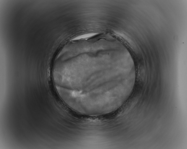 X0000091890502200709261642