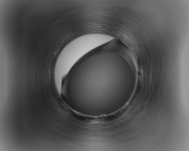 X0000091890504200709261642