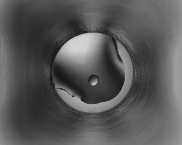 X0000091890505200709261642