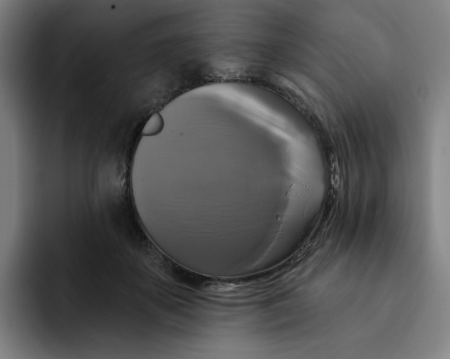 X0000091890507200709261642