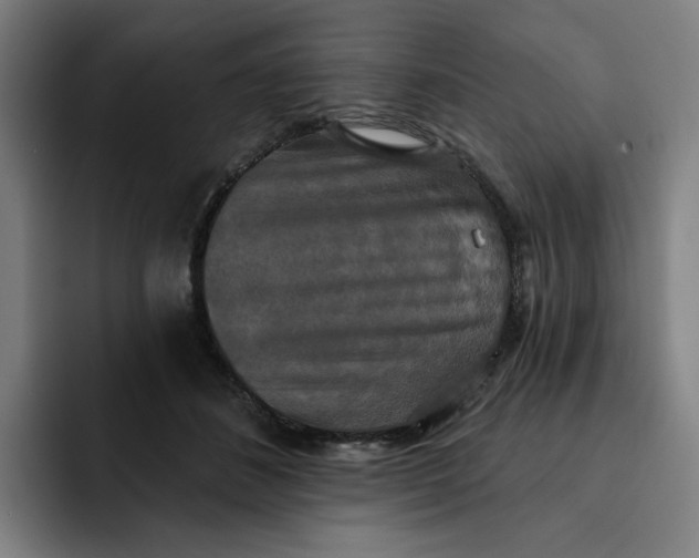 X0000091890508200709261642