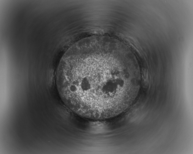 X0000091890511200709261642