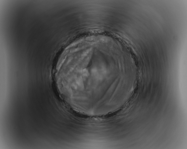 X0000091890512200709261642