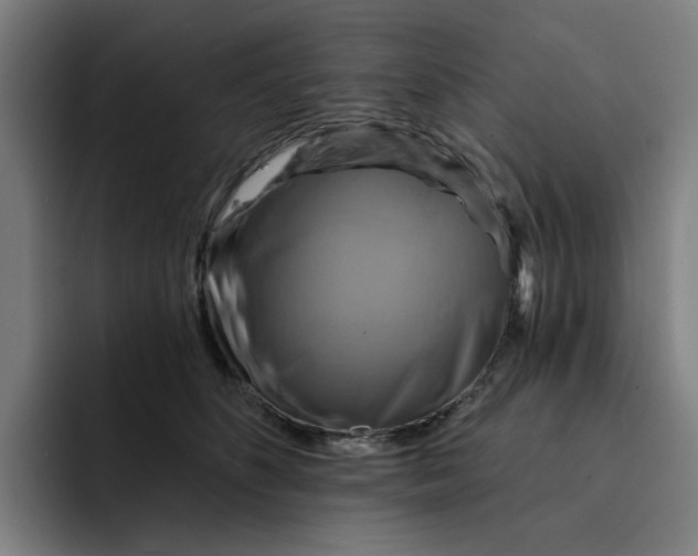 X0000091890516200709261642