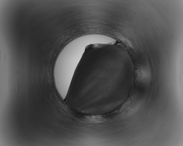 X0000091890517200709261642