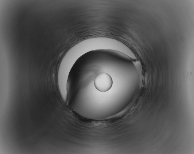 X0000091890520200709261642