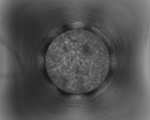 X0000091890523200709261642