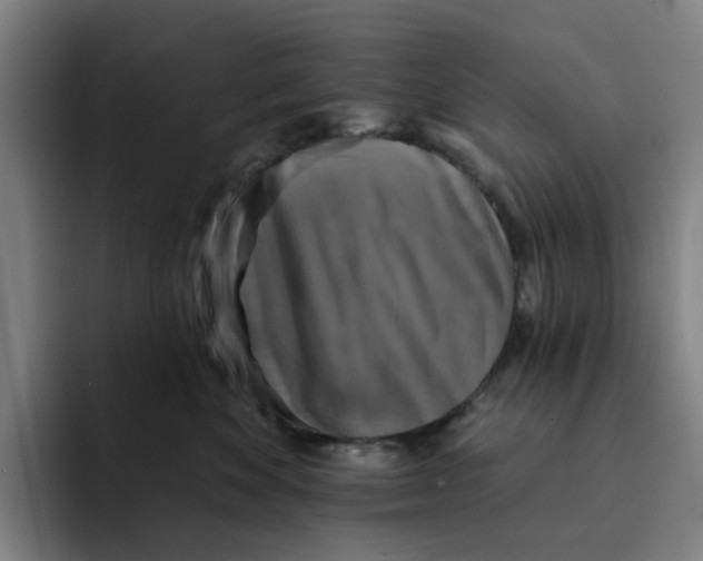 X0000091890524200709261642