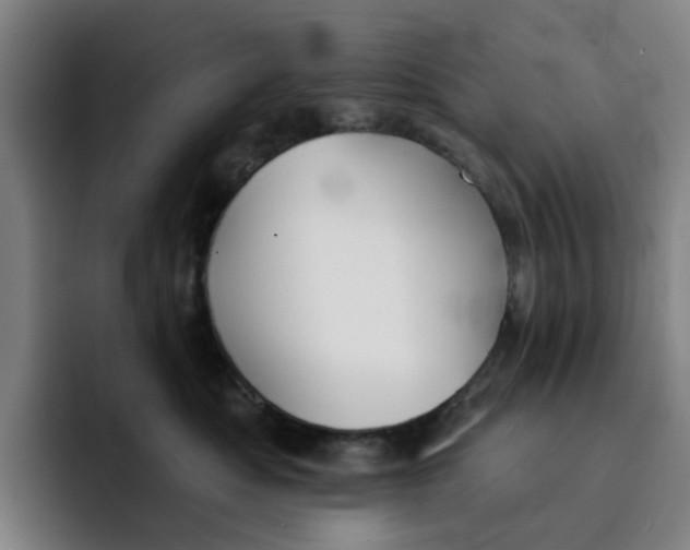 X0000091890525200709261642