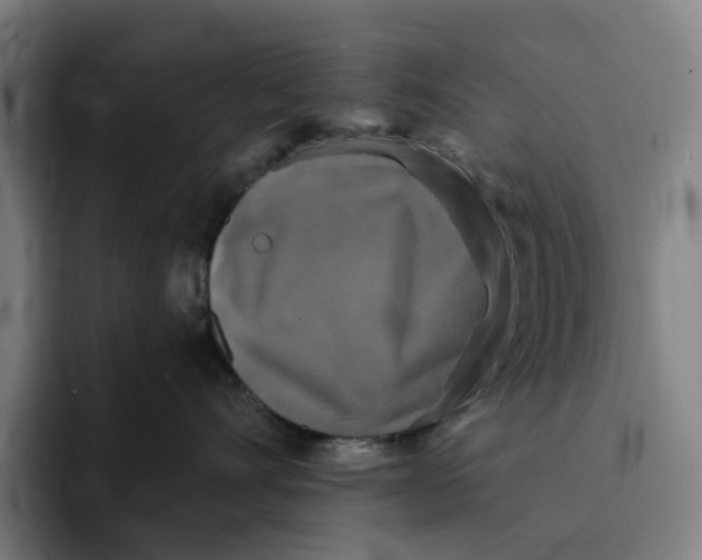 X0000091890528200709261642