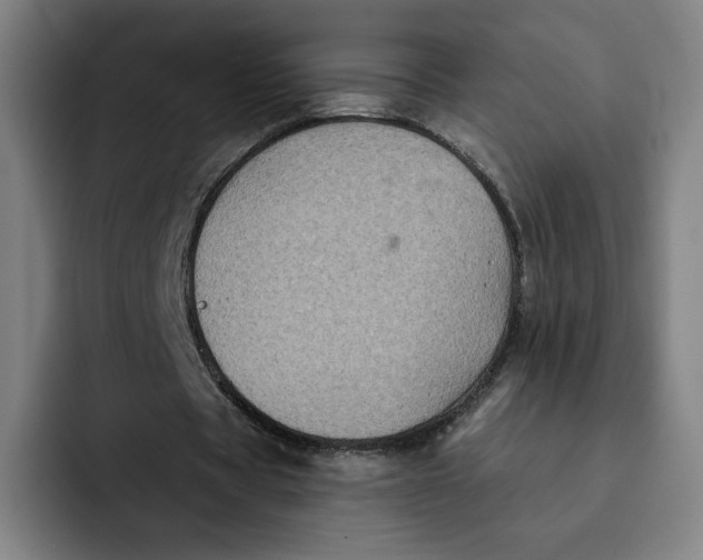 X0000091890529200709261641