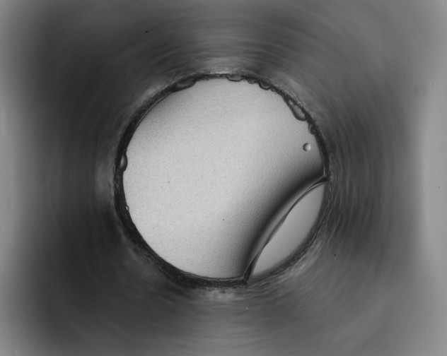 X0000091890530200709261641