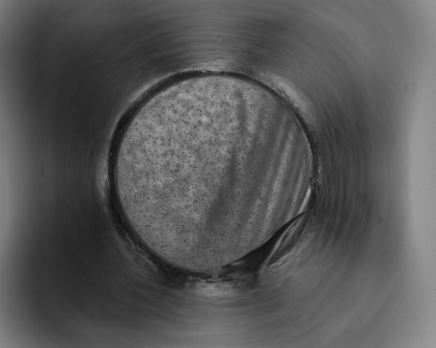 X0000091890532200709261641