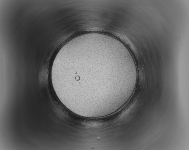 X0000091890533200709261641