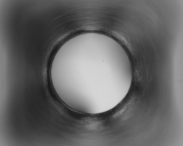 X0000091890535200709261641