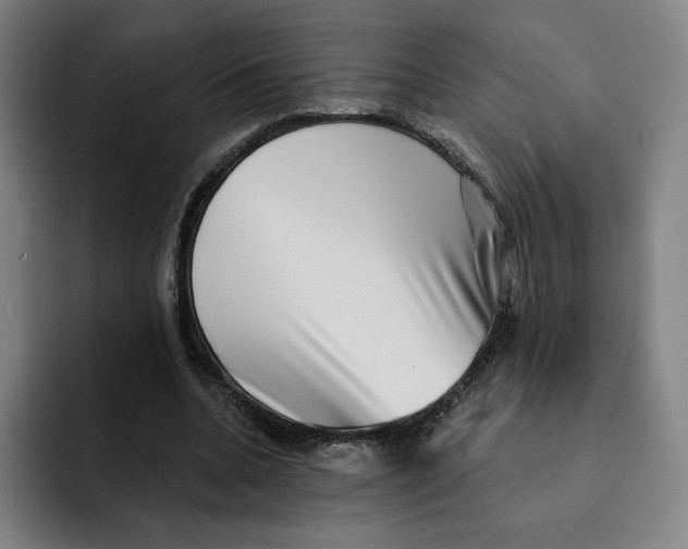 X0000091890536200709261641