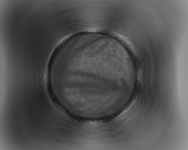 X0000091890540200709261641