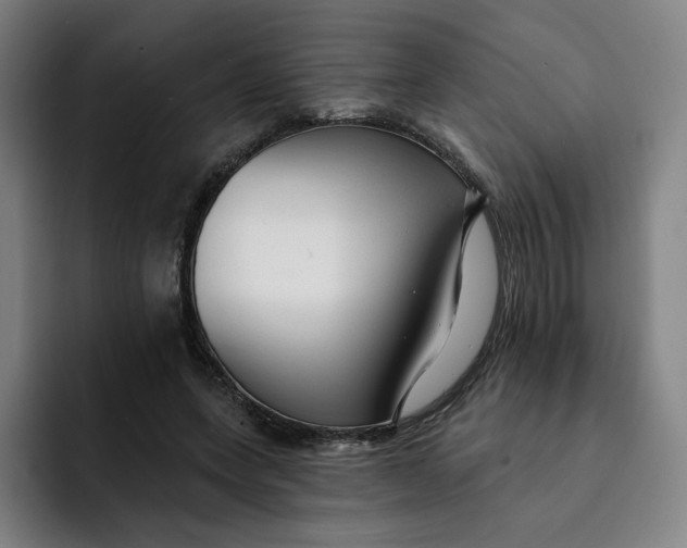 X0000091890543200709261641