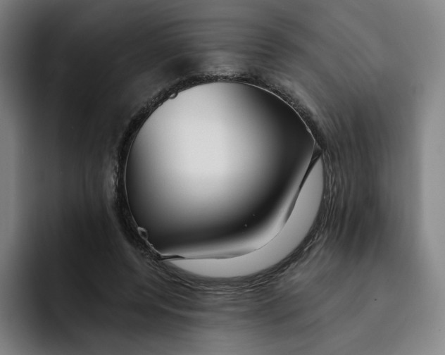 X0000091890544200709261641