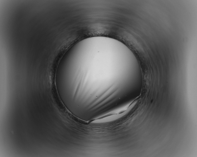 X0000091890546200709261641