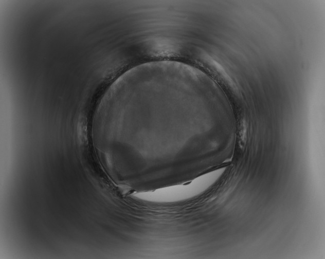 X0000091890547200709261641