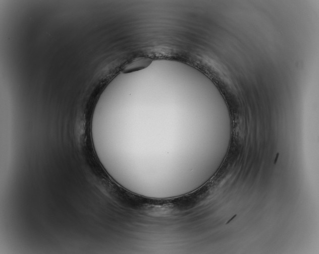 X0000091890548200709261641