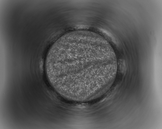 X0000091890550200709261641