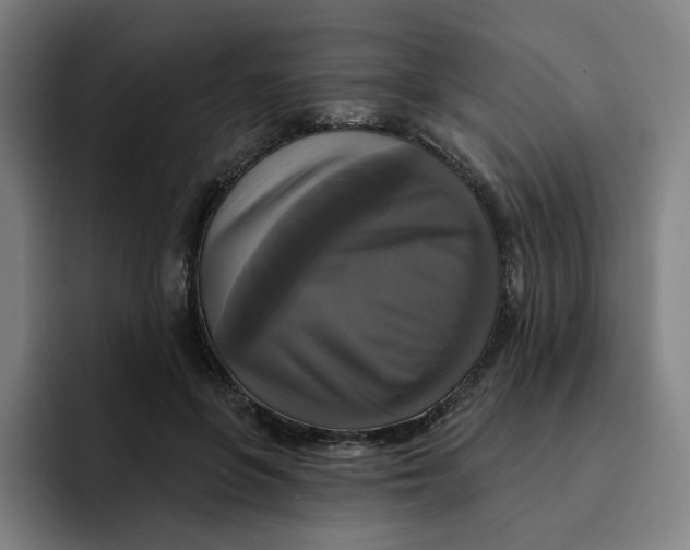 X0000091890551200709261641