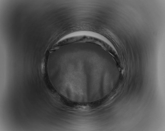 X0000091890552200709261641