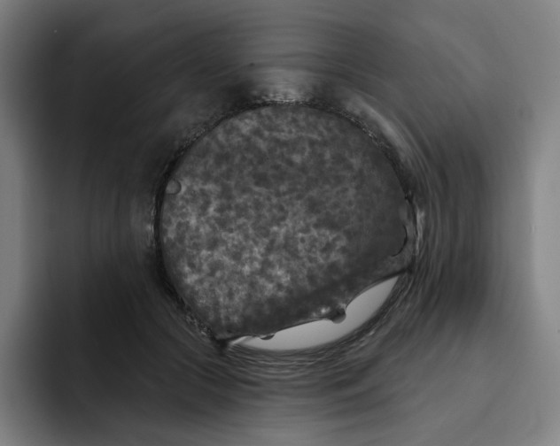 X0000091890553200709261641