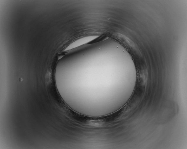 X0000091890556200709261641