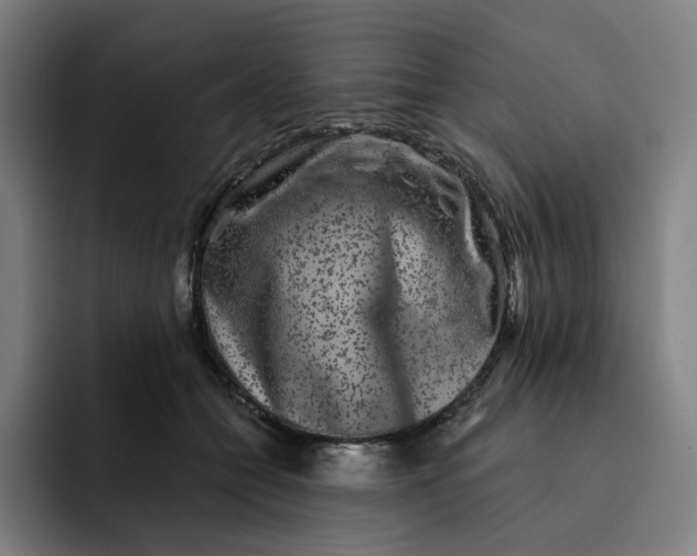 X0000091890558200709261641