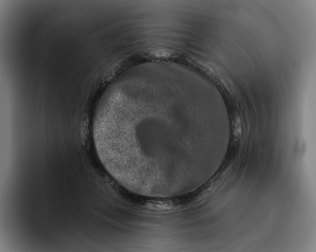 X0000091890559200709261641