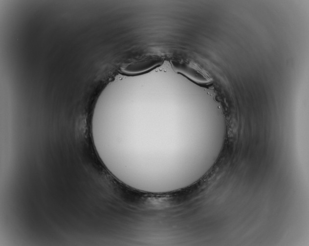 X0000091890560200709261641