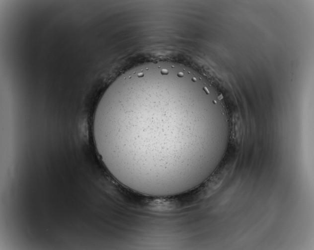 X0000091890562200709261641