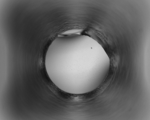 X0000091890564200709261641