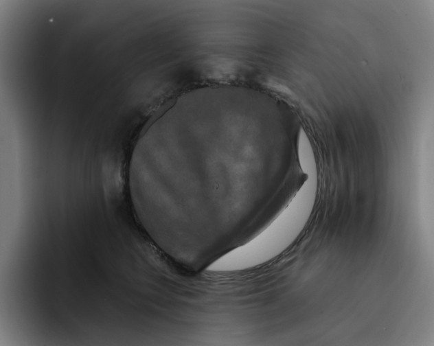 X0000091890566200709261641