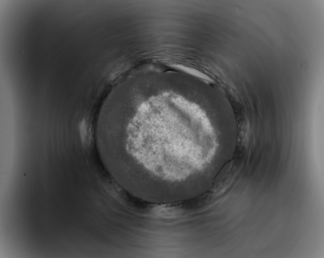 X0000091890568200709261641