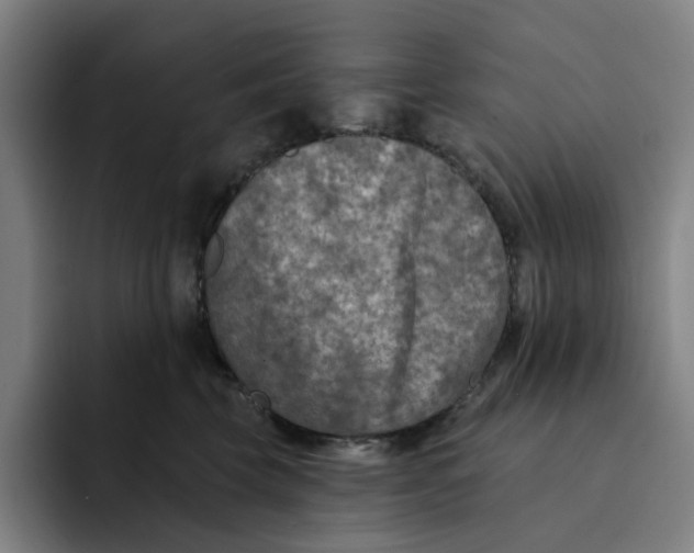 X0000091890569200709261641