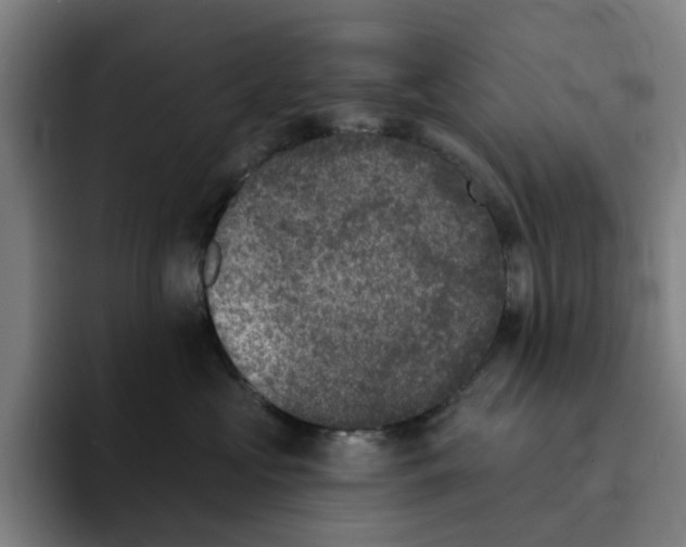 X0000091890573200709261642