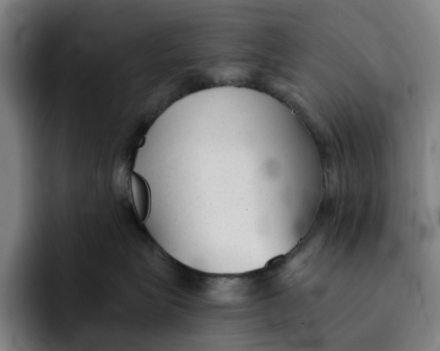 X0000091890575200709261642