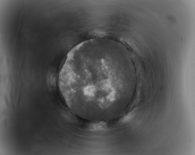 X0000091890576200709261642