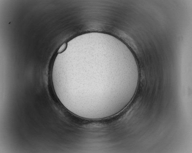 X0000091890578200709261641