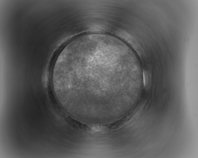 X0000091890579200709261641