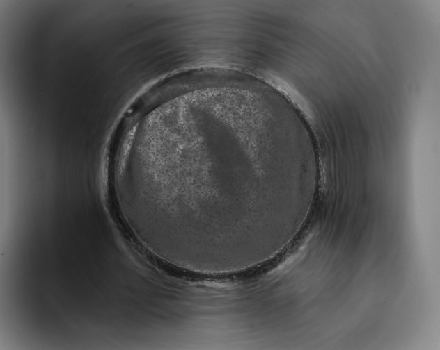 X0000091890580200709261641