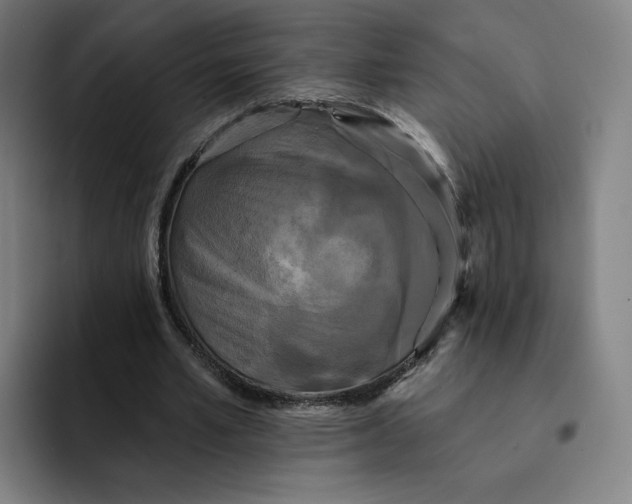 X0000091890581200709261641