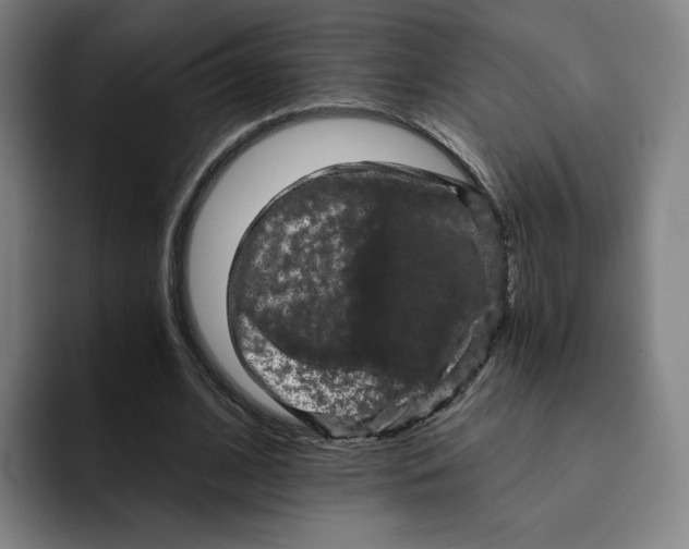 X0000091890584200709261641