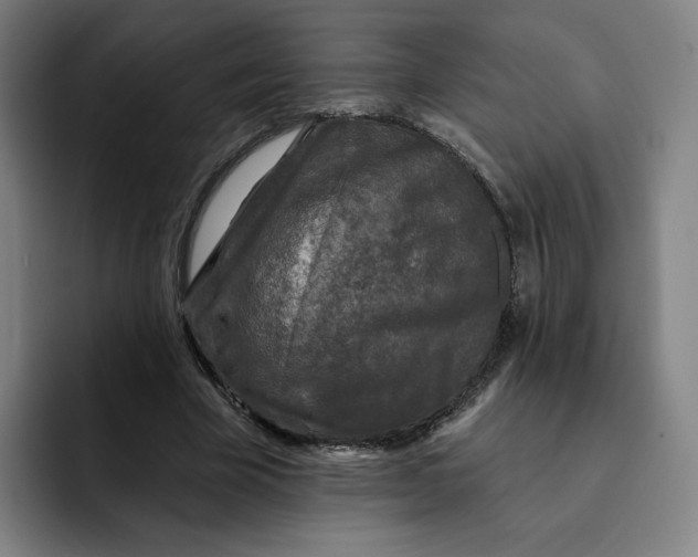 X0000091890585200709261641