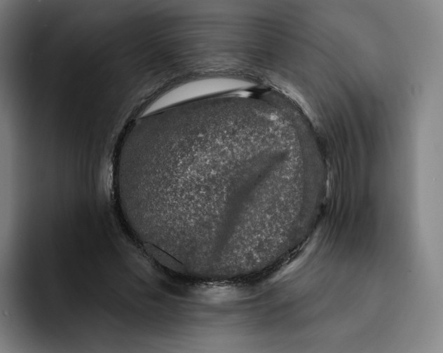 X0000091890589200709261641